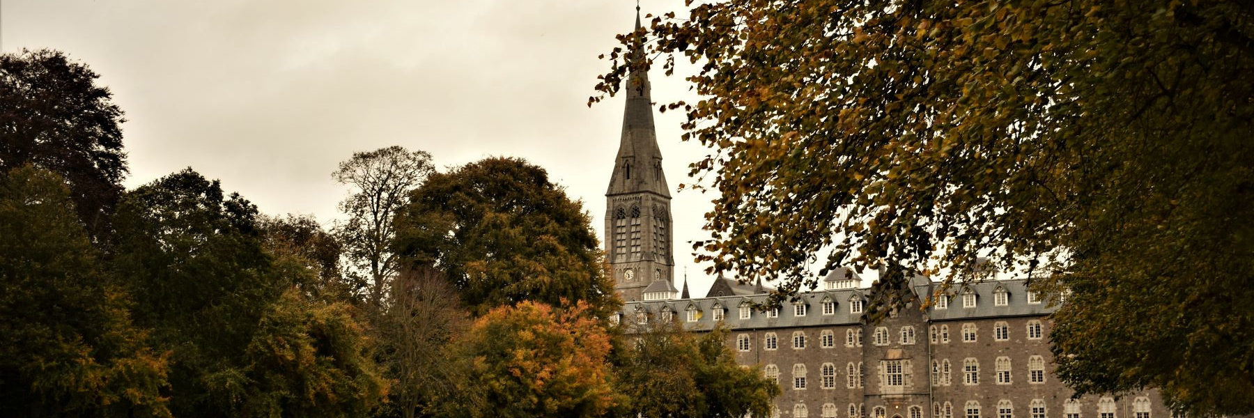 Maynooth-IU